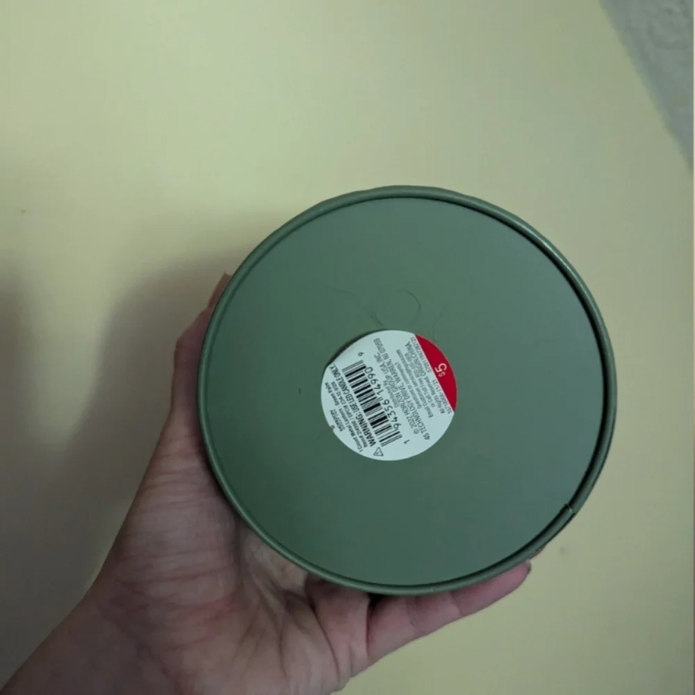Green Metal Lantern With Leaf Pattern From Target